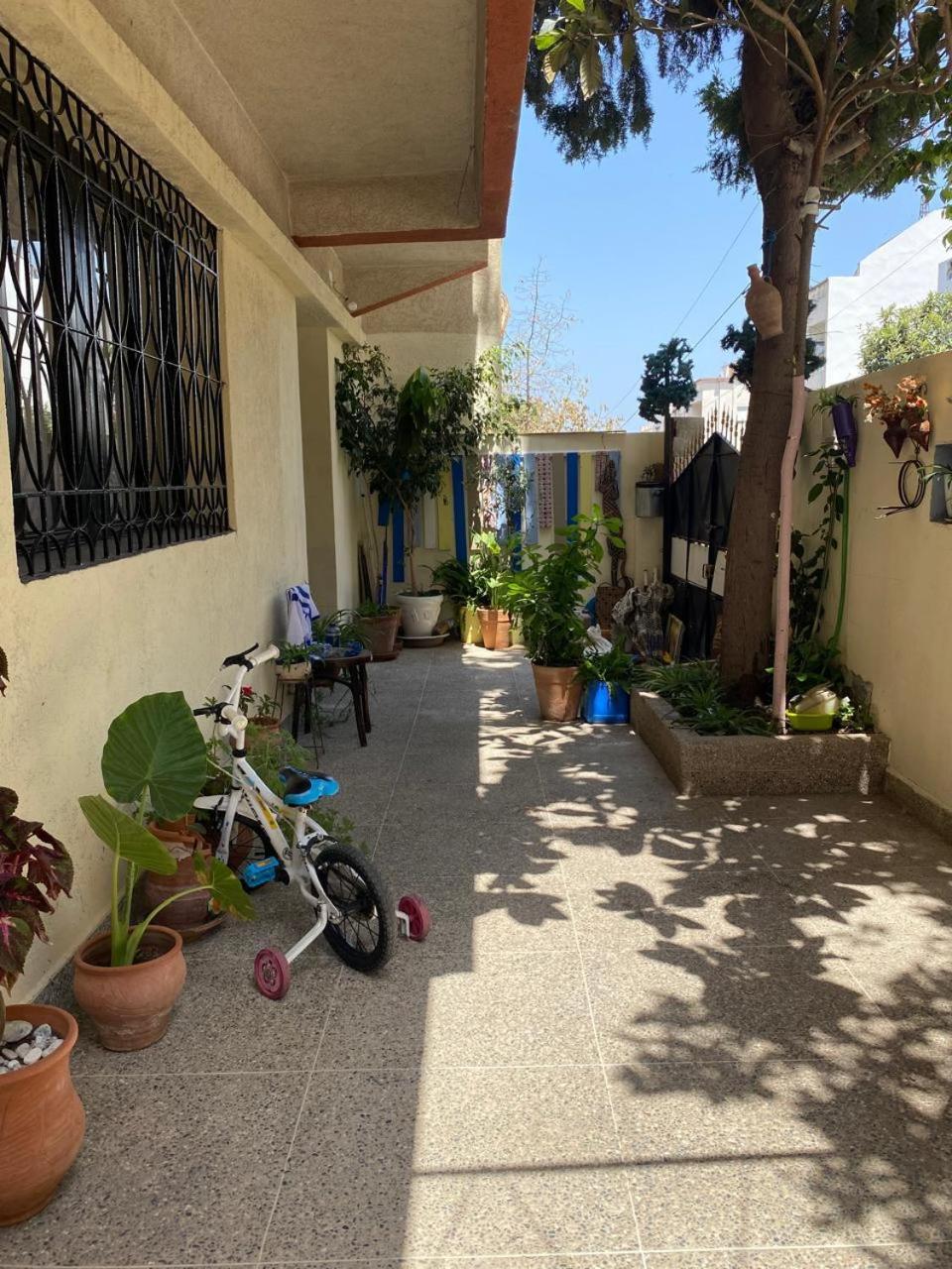Dar Shamsy Souani (Tanger) Exterior foto