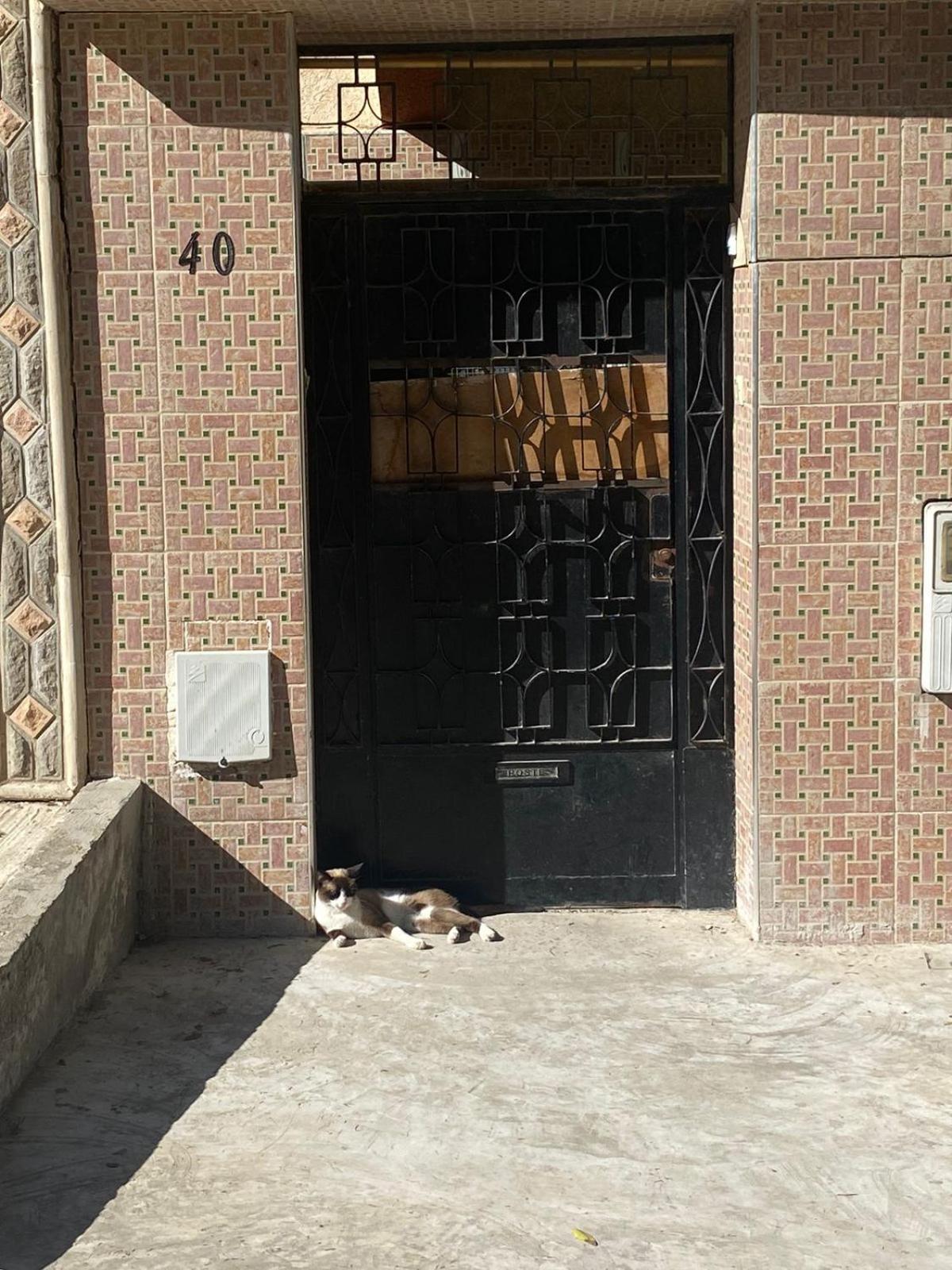 Dar Shamsy Souani (Tanger) Exterior foto